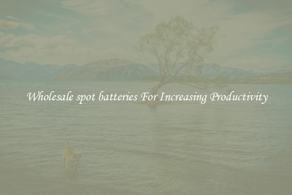 Wholesale spot batteries For Increasing Productivity
