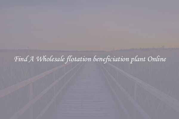 Find A Wholesale flotation beneficiation plant Online