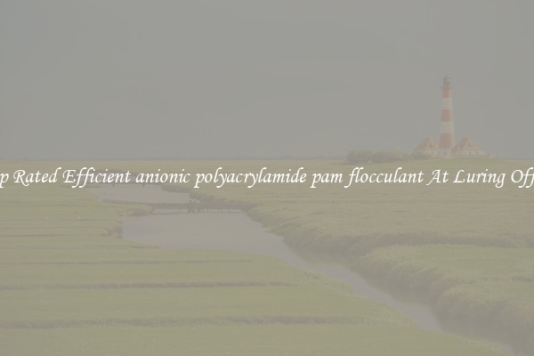 Top Rated Efficient anionic polyacrylamide pam flocculant At Luring Offers