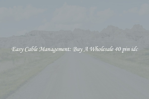 Easy Cable Management: Buy A Wholesale 40 pin idc