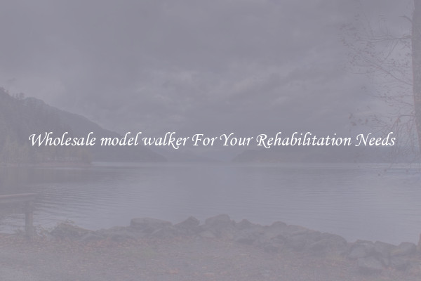 Wholesale model walker For Your Rehabilitation Needs