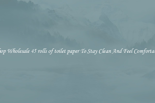 Shop Wholesale 45 rolls of toilet paper To Stay Clean And Feel Comfortable