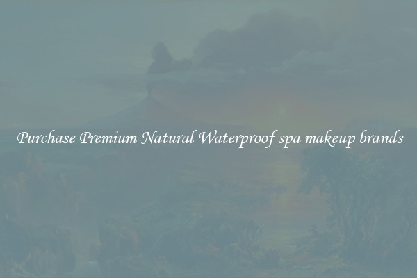 Purchase Premium Natural Waterproof spa makeup brands