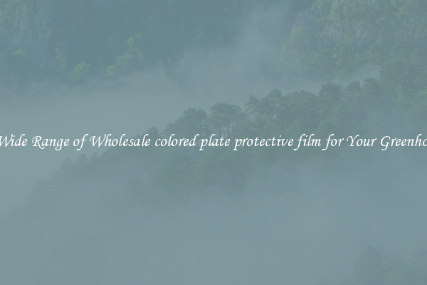 A Wide Range of Wholesale colored plate protective film for Your Greenhouse