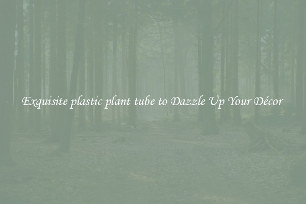 Exquisite plastic plant tube to Dazzle Up Your Décor 