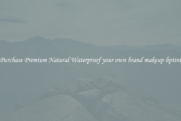 Purchase Premium Natural Waterproof your own brand makeup liptint
