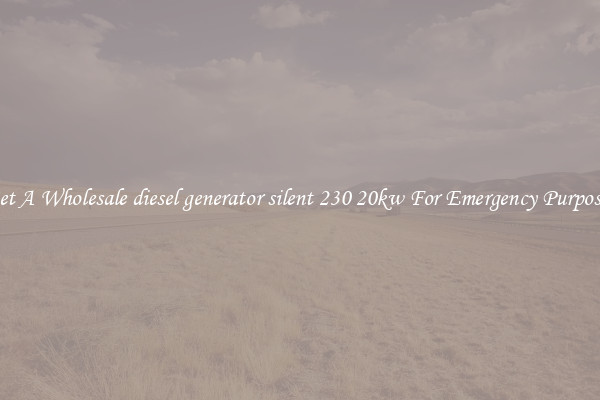 Get A Wholesale diesel generator silent 230 20kw For Emergency Purposes
