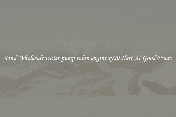 Find Wholesale water pump robin engine ey20 Here At Good Prices