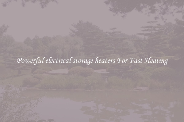 Powerful electrical storage heaters For Fast Heating