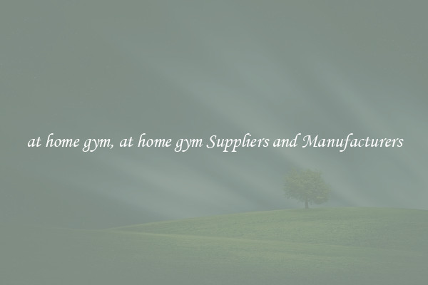 at home gym, at home gym Suppliers and Manufacturers