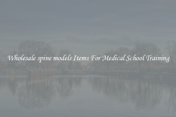 Wholesale spine models Items For Medical School Training