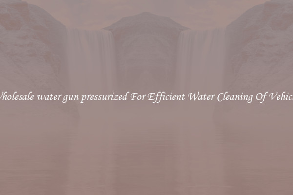 Wholesale water gun pressurized For Efficient Water Cleaning Of Vehicles