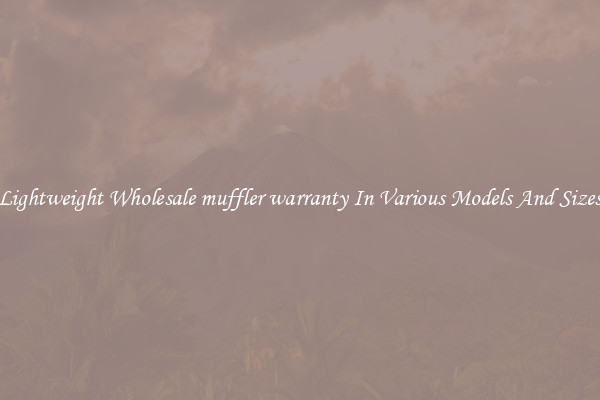 Lightweight Wholesale muffler warranty In Various Models And Sizes