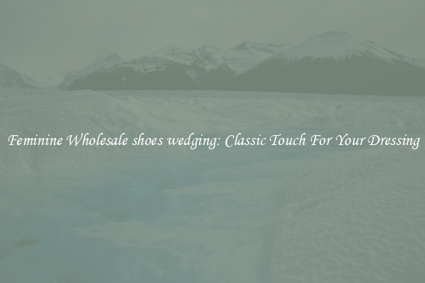 Feminine Wholesale shoes wedging: Classic Touch For Your Dressing