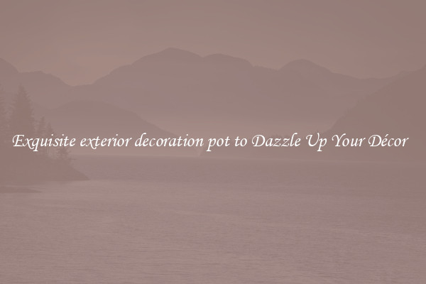 Exquisite exterior decoration pot to Dazzle Up Your Décor  