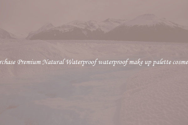 Purchase Premium Natural Waterproof waterproof make up palette cosmetics