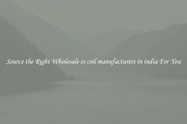 Source the Right Wholesale ss coil manufacturers in india For You