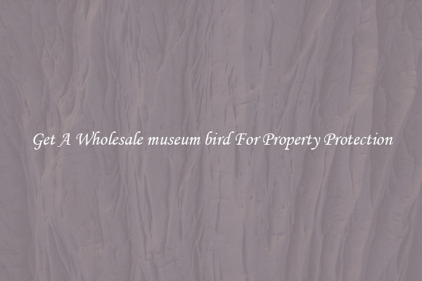 Get A Wholesale museum bird For Property Protection